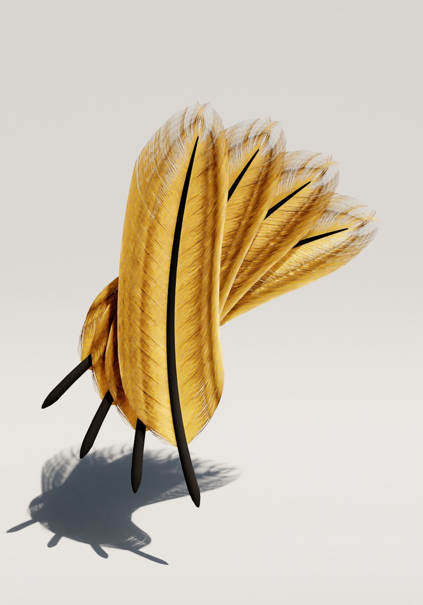 a yellow feathered object with black tips on a white background